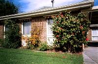 14-tess_garden.jpg