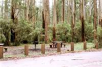 20-grants_picnic_ground.jpg