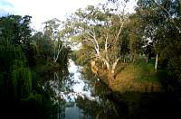 2-04-condobolin.jpg