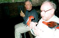 26-alain_don_rosellas.jpg