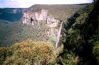 c07-covett_leap.jpg