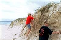 a03-pip_peter_dune.jpg