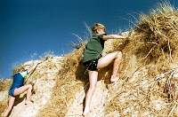 b32-pip_peter.jpg