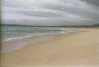 q35-strand.jpg