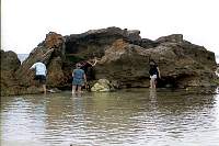 e07-mollymook.jpg