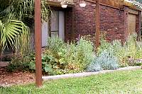 11a-kate's garden.jpg