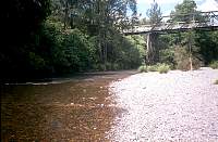k04-dungog.jpg