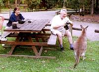 08a-dolly_alain_kangaroo.jpg