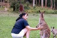 g18-dolly_kangaroos.jpg