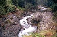 04-torrent.jpg