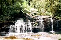 06-fall.jpg