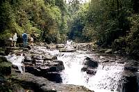 08-fall.jpg