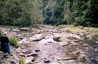 16-torrent.jpg